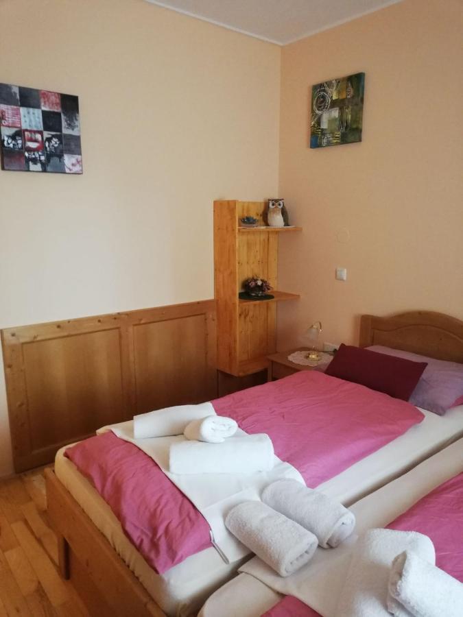 Apartment Bolfenk Hočko Pohorje Eksteriør billede